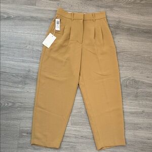 Aritzia/Wilfred Tan High-Waisted Trousers